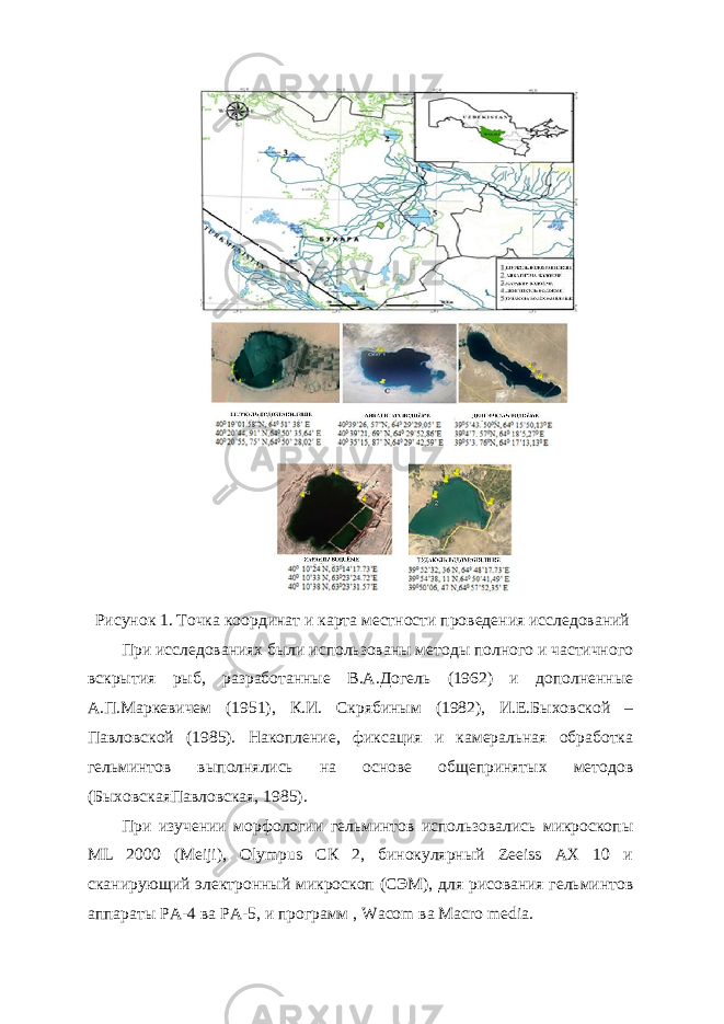 Рисунок 1. Точка координат и карта местности проведения исследований При исследованиях были использованы методы полного и частичного вскрытия рыб, разработанные В.А.Догель (1962) и дополненные А.П.Маркевичем (1951), К.И. Скрябиным (1982), И.Е.Быховской – Павловской (1985). Накопление, фиксация и камеральная обработка гельминтов выполнялись на основе общепринятых методов (БыховскаяПавловская, 1985). При изучении морфологии гельминтов использовались микроскопы МL 2000 (Meiji), Olympus CК 2, бинокулярный Zeeiss AX 10 и сканирующий электронный микроскоп (СЭМ), для рисования гельминтов аппараты РА-4 ва РА-5, и программ , Wacom ва Маcro media. 