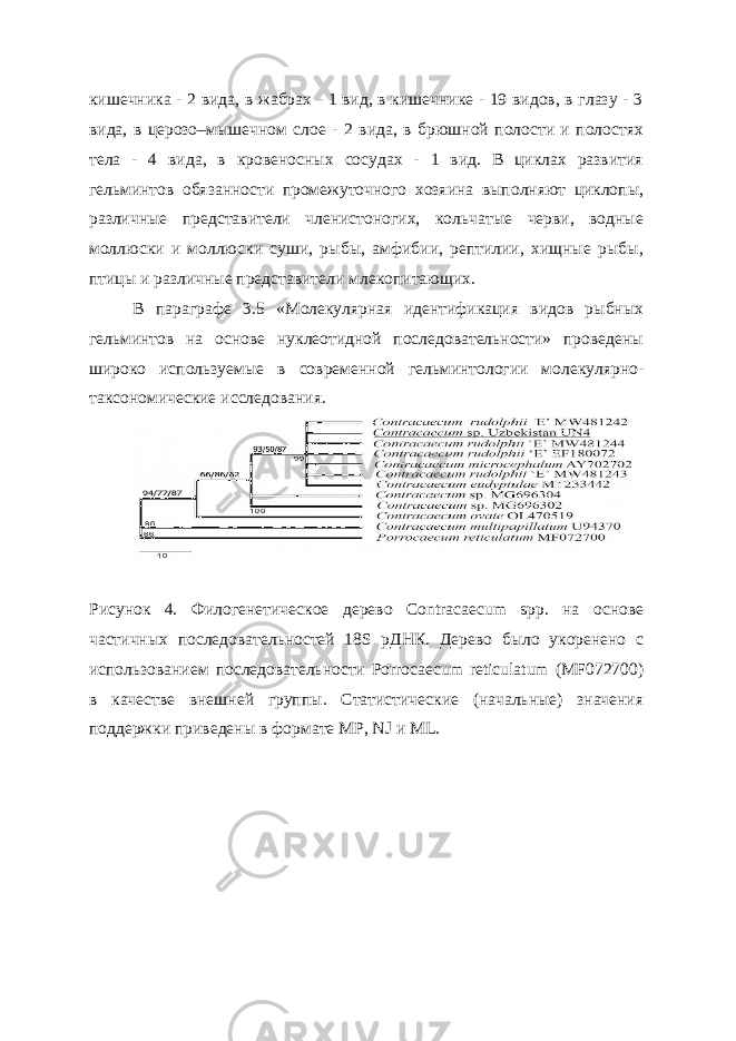 кишечника - 2 вида, в жабрах - 1 вид, в кишечнике - 19 видов, в глазу - 3 вида, в церозо–мышечном слое - 2 вида, в брюшной полости и полостях тела - 4 вида, в кровеносных сосудах - 1 вид. В циклах развития гельминтов обязанности промежуточного хозяина выполняют циклопы, различные представители членистоногих, кольчатые черви, водные моллюски и моллюски суши, рыбы, амфибии, рептилии, хищные рыбы, птицы и различные представители млекопитающих. В параграфе 3.5 «Молекулярная идентификация видов рыбных гельминтов на основе нуклеотидной последовательности» проведены широко используемые в современной гельминтологии молекулярно- таксономические исследования. Рисунок 4. Филогенетическое дерево Contracaecum spp. на основе частичных последовательностей 18S рДНК. Дерево было укоренено с использованием последовательности Porrocaecum reticulatum (MF072700) в качестве внешней группы. Статистические (начальные) значения поддержки приведены в формате MP, NJ и ML. 