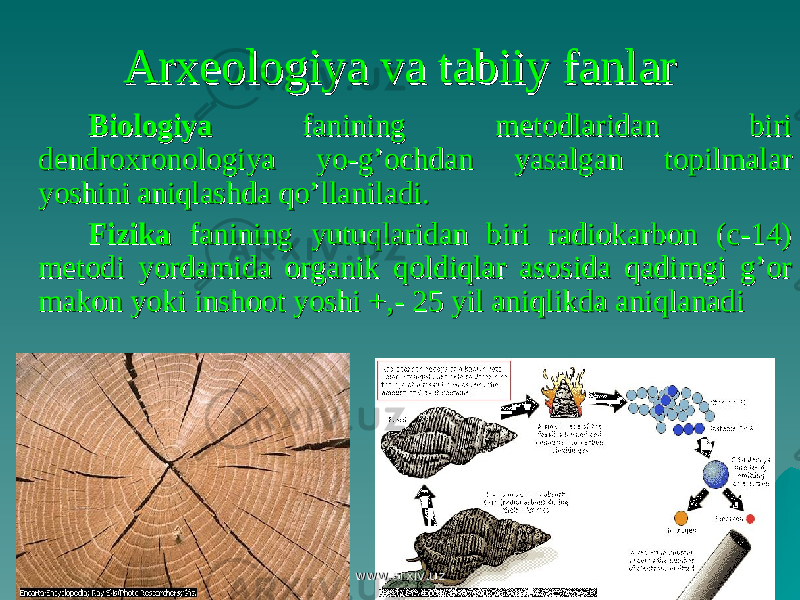 Arxeologiya va tabiiy fanlarArxeologiya va tabiiy fanlar BiologiyaBiologiya fanining metodlaridan biri fanining metodlaridan biri dendroxronologiya yo-g’ochdan yasalgan topilmalar dendroxronologiya yo-g’ochdan yasalgan topilmalar yoshini aniqlashda qo’llaniladi.yoshini aniqlashda qo’llaniladi. FizikaFizika fanining yutuqlaridan biri radiokarbon (c-14) fanining yutuqlaridan biri radiokarbon (c-14) metodi yordamida organik qoldiqlar asosida qadimgi g’or metodi yordamida organik qoldiqlar asosida qadimgi g’or makon yoki inshoot yoshi +,- 25 yil aniqlikda aniqlanadimakon yoki inshoot yoshi +,- 25 yil aniqlikda aniqlanadi www.arxiv.uzwww.arxiv.uz 