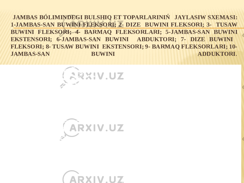  JAMBAS BÓLIMINDEGI BULSHIQ ET TOPARLARINIŃ JAYLASIW SXEMASI: 1-JAMBAS-SAN BUWINI FLEKSORI; 2- DIZE BUWINI FLEKSORI; 3- TUSAW BUWINI FLEKSORI; 4- BARMAQ FLEKSORLARI; 5-JAMBAS-SAN BUWINI EKSTENSORI; 6-JAMBAS-SAN BUWINI ABDUKTORI; 7- DIZE BUWINI FLEKSORI; 8- TUSAW BUWINI EKSTENSORI; 9- BARMAQ FLEKSORLARI; 10- JAMBAS-SAN BUWINI ADDUKTORI . 