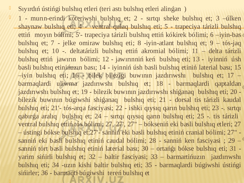  Sıyırdıń ústińgi bulshıq etleri (teri astı bulshıq etleri alinǵan )  1 - murın-erindi kóteriwshi bulshıq et; 2 - sırtqı sheke bulshıq et; 3 –úlken shaynaw bulshıq eti; 4 - ventral qulaq bulshıq eti; 5 - trapeciya tárizli bulshıq ettiń moyın bólimi; 5&#39;- trapeciya tárizli bulshıq ettiń kókirek bólimi; 6 –iyin-bas bulshıq et; 7 - jelke omiraw bulshıq eti; 8 -iyin-atlant bulshıq et; 9 – tós-jaq bulshıq et; 10 -. deltatárizli bulshıq ettiń akromial bólimi; 11 – delta tárizli bulshıq ettiń jawırın bólimi; 12 - jawırınniń keń bulshıq eti; 13 - iyinniń úsh basli bulshıq etinińuzın bası; 14 - iyinniń úsh basli bulshıq etiniń laterial bası; 15 –iyin bulshıq eti; 16 - bilek bilezigi buwının jazdırıwshı bulshıq et; 17 – barmaqlardi uliwma jazdırıwshı bulshıq et; 18 - barmaqlardi qaptaldan jazdırıwshı bulshıq et; 19 - bilezik buwının jazdırıwshı shiǵanaq bulshıq eti; 20 - bilezik buwının búgiwshi shiǵanaq bulshıq eti; 21 - dorsal tis tárizli kaudal bulshıq eti; 21&#39;- tós-arqa fasciyasi; 22 - ishki qıysıq qarın bulshıq eti; 23 -. sırtqı qabırǵa aralıq bulshıq et; 24 – sırtqı qıysıq qarın bulshıq eti; 25 -. tis tárizli ventral bulshıq ettiń tós bólimi; 27, 27&#39;, 27&#34; – bókseniń eki basli bulshıq etleri; 27 – ústingi bókse bulshıq et;27&#39;- sanniń eki basli bulshıq etiniń cranial bólimi; 27&#34; - sanniń eki basli bulshıq etiniń caudal bólimi; 28 - sanniń ken fasciyasi ; 29 – sanniń tórt basli bulshıq etiniń laterial bası; 30 – ortańǵı bókse bulshıq eti; 31 - yarim sińirli bulshıq et; 32 – baltir fasciyasi; 33 – barmartińuzın jazdırıwshı bulshıq eti; 34 -uzın kishi baltir bulshıq eti; 35 - barmaqlardi búgiwshi ústińgi sińirler; 36 - barmaqti búgiwshi tereń bulshıq et          