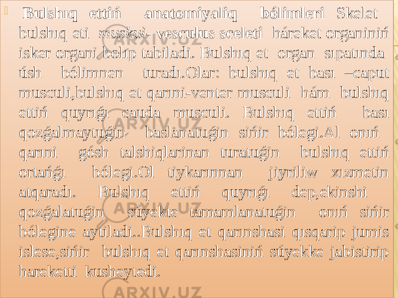    Bulshıq ettiń anatomiyaliq bólimleri Skelet bulshıq eti muskul - vesculus sceleti háreket organiniń isker organi bolıp tabiladi. Bulshıq et organ sıpatında úsh bólimnen turadı.Olar: bulshıq et bası –caput musculi,bulshıq et qarıni-venter musculi hám bulshıq ettiń quyrıǵı cauda musculi. Bulshıq ettiń bası qozǵalmaytuǵin baslanatuǵin sińir bólegi.Al onıń qarıni gósh talshiqlarinan turatuǵin bulshıq ettiń ortańǵı bólegi.Ol tiykarınnan jiyriliw xızmetin atqaradı. Bulshıq ettiń quyrıǵı dep,ekinshi qozǵalatuǵin súyekte tamamlanatuǵin onıń sińir bólegine aytiladi..Bulshıq et qarınshasi qısqarip jumis islese,sińir bulshıq et qarınshasiniń súyekke jabistirip hareketti kusheytedi. 01 18 01020304 05 1D1E1B1F 010203040205 24 1509041602 05 231F 2E1F 301E1F 1A1C1C232B05 22273837291B3029361C1E37232A05 222926212A23 27261C292B3721 291C222926292D210405 22273837291B291C1E37232A05 1D2F1B1A28232A1A05 231F 2029261A191A1C1C230505 