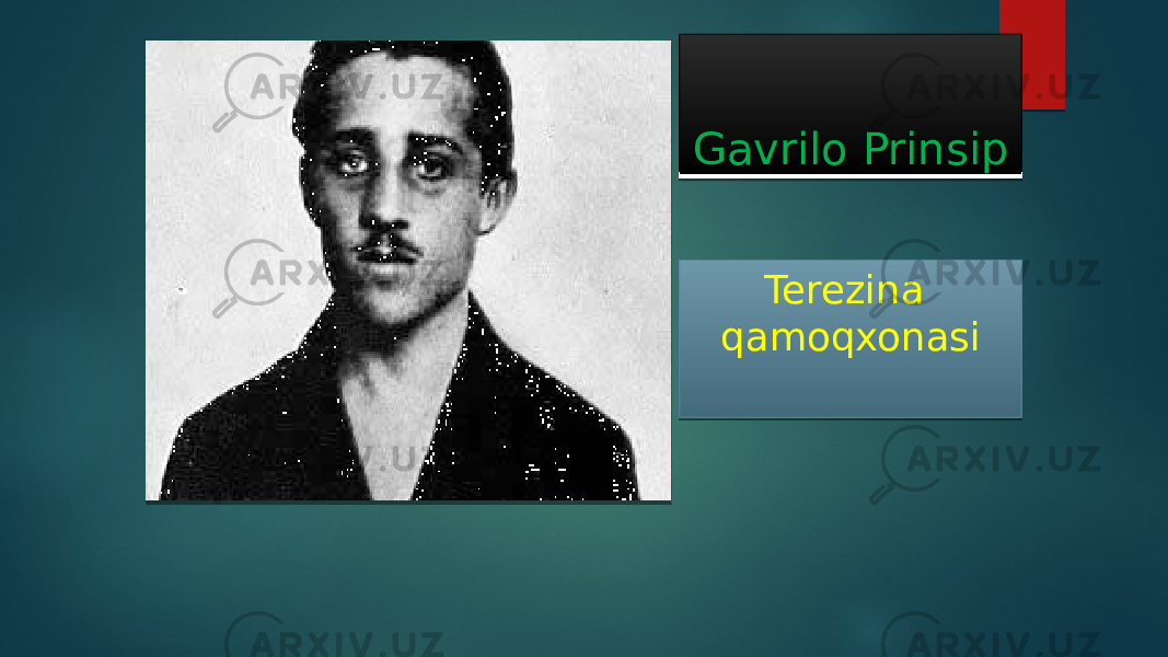 Gavrilo Prinsip Terezina qamoqxonasi 11 15 1004 