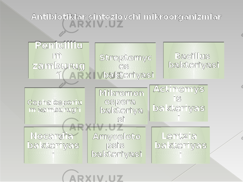 Antibiotiklar sintezlovchi mikroorganizmlar Penicilliu m zamburug ‘i Streptomyc es bakteriyasi Bacillus bakteriyasi Cephalosporiu m zamburug’i Mikromon ospora bakteriya si Actinomys is bakteriyas i Nocardia bakteriyas i Amycoloto psis bakteriyasi Lentzia bakteriyas i 1F10030A170A0F0F0A1B 18 1502 20 010509 10 0D 1C 0D 22 18 190A 0407 0D 070A 1417 0A0706 0D02 0A 24 0D02 0A 14 21 0D 25 0D02 0A 