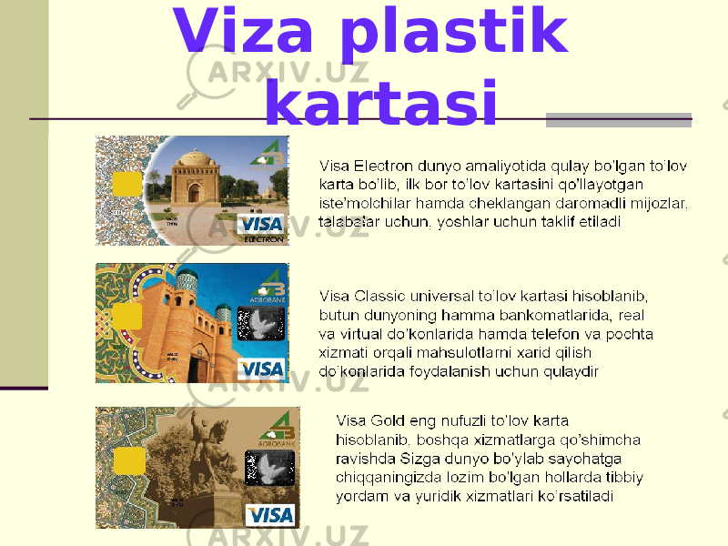 Viza plastik kartasi 