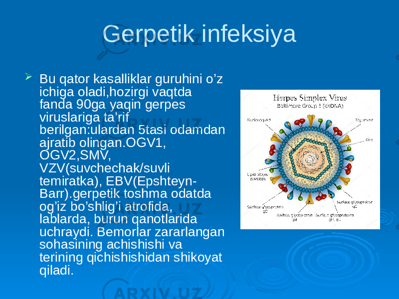 Gerpetik infeksiya  Bu qator kasalliklar guruhini o’z ichiga oladi,hozirgi vaqtda fanda 90ga yaqin gerpes viruslariga ta’rif berilgan:ulardan 5tasi odamdan ajratib olingan.OGV1, OGV2,SMV, VZV(suvchechak/suvli temiratka), EBV(Epshteyn- Barr).gerpetik toshma odatda og’iz bo’shlig’i atrofida, lablarda, burun qanotlarida uchraydi. Bemorlar zararlangan sohasining achishishi va terining qichishishidan shikoyat qiladi. 