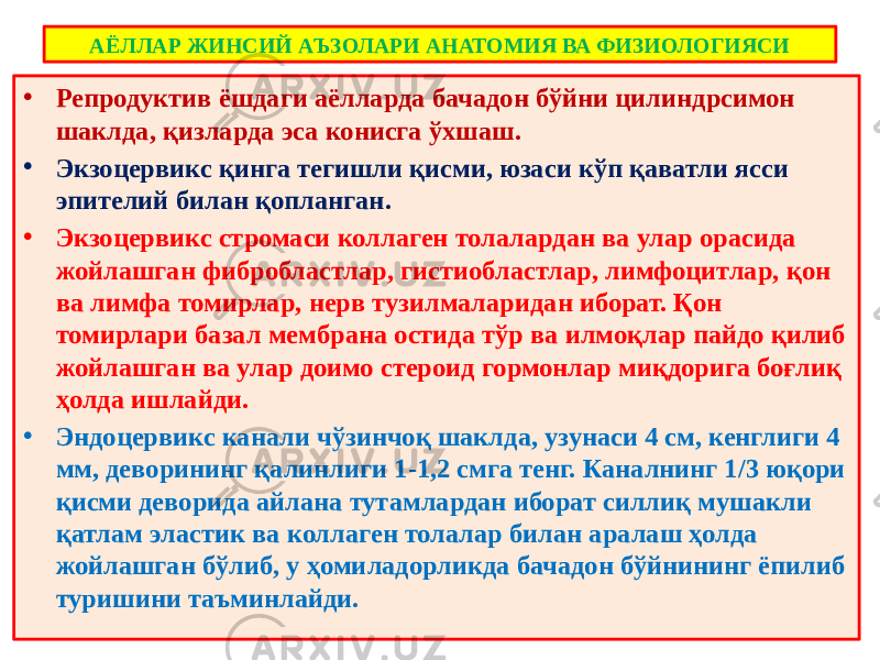 АЁЛЛАР ЖИНСИЙ АЪЗОЛАРИ АНАТОМИЯ ВА ФИЗИОЛОГИЯСИ • Репродуктив ёшдаги аёлларда бачадон бўйни цилиндрсимон шаклда, қизларда эса конисга ўхшаш. • Экзоцервикс қинга тегишли қисми, юзаси кўп қаватли ясси эпителий билан қопланган. • Экзоцервикс стромаси коллаген толалардан ва улар орасида жойлашган фибробластлар, гистиобластлар, лимфоцитлар, қон ва лимфа томирлар, нерв тузилмаларидан иборат. Қон томирлари базал мембрана остида тўр ва илмоқлар пайдо қилиб жойлашган ва улар доимо стероид гормонлар миқдорига боғлиқ ҳолда ишлайди. • Эндоцервикс канали чўзинчоқ шаклда, узунаси 4 см, кенглиги 4 мм, деворининг қалинлиги 1-1,2 смга тенг. Каналнинг 1/3 юқори қисми деворида айлана тутамлардан иборат силлиқ мушакли қатлам эластик ва коллаген толалар билан аралаш ҳолда жойлашган бўлиб, у ҳомиладорликда бачадон бўйнининг ёпилиб туришини таъминлайди. 