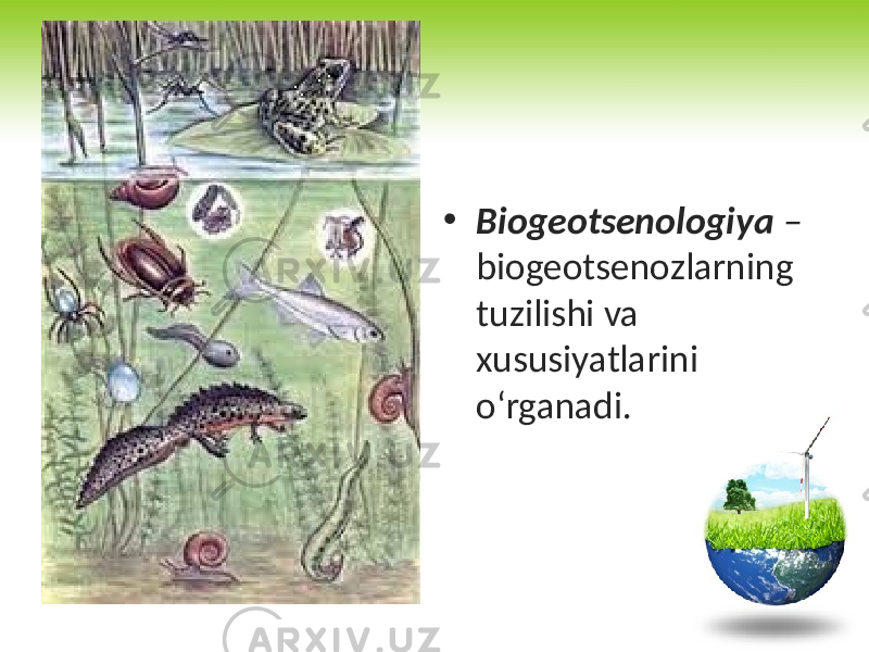 • Biogeotsenologiya – biogeotsenozlarning tuzilishi va xususiyatlarini o‘rganadi. 
