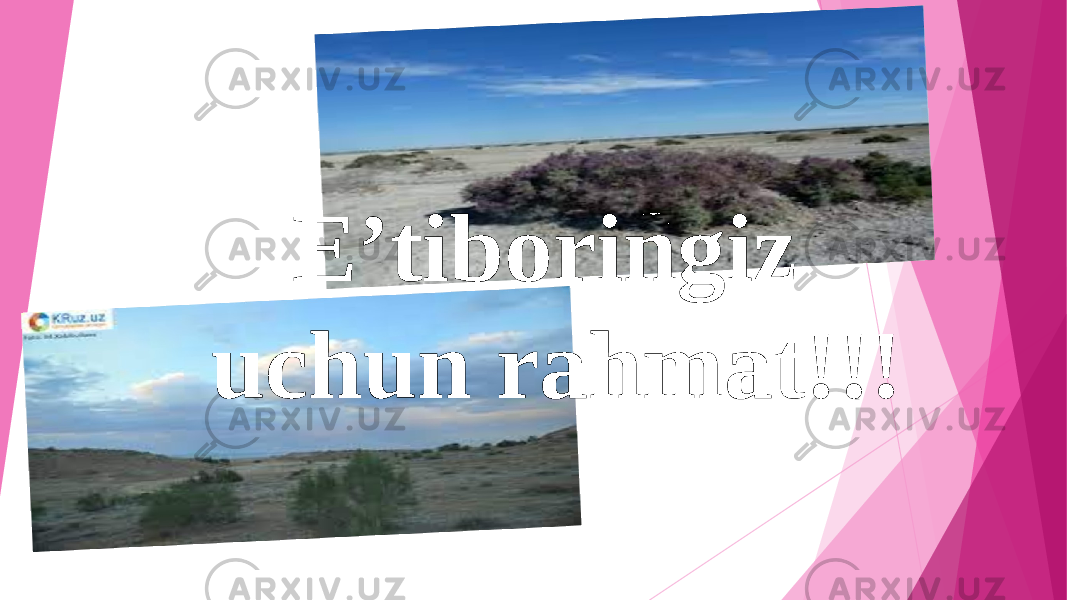 E’tiboringiz uchun rahmat!!! 