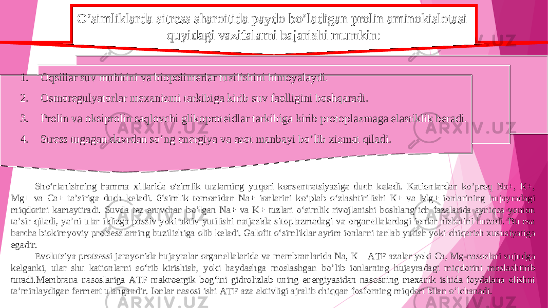 O ‘simliklarda sitress sharoitida paydo bo ’l adigan prolin aminokislotasi quyidagi vazifalarni bajarishi mumkin : 1. Oqsillar suv muhitini va biopolimerlar tuzilishini himoyalaydi. 2. O smoregulyatorlar mexan i zmi tarkibiga kirib suv faolligini boshqaradi. 3. Prolin va oksiprolin saqlovchi glikoproteidlar tarkibiga kirib protoplazmaga elastiklik beradi. 4. Stress tugagan davrdan so‘ng energiya va azot manbayi bo ’l ib x izmat qiladi. Sho‘rlanishning hamma xillarida o&#39;simlik tuzla rn ing yuqori konsentratsiyasiga duch keladi. Kationlardan ko‘proq Na+, K+, Mg + va Ca+ ta’siriga duch keladi. 0‘simlik tomonidan Na+ ionlarini ko‘plab o‘zlashtiri li shi K+ va Mg+ ionlarining hujayradagi miqdorini kamaytiradi. Suvda tez eruvchan bo ’l gan Na+ va K+ tuzlari o‘simlik rivojlanishi boshlang‘ich fazalarida ayniqsa yomon ta’sir qiladi, ya’ni ular ildizga passiv yoki aktiv yutilishi natjasida sitoplazmadagi va organellalardagi ionlar nisbatini buzadi. Bu esa barcha biokimyoviy protsessla rn ing buzilishiga olib keladi. Galofit o‘simliklar ayrim ionla rn i tanlab yutish yoki chiqarish xususiyatiga egadir. Evolutsiya protsessi jarayonida hujayralar organellalarida va membran la rida Na, K—ATF azalar yoki Ca, Mg-nasoslari vujudga kelganki, ular shu kationlarni so‘rib kirishish, yoki haydashga moslashgan bo ’l ib ionla rn ing h ujayradagi miqdorini moslashtirib turadi.Membrana nasoslariga ATF makroergik bog‘ini gidrolizlab uning energiyasidan nasosning mexanik ishida foydalana olishni ta’minlaydigan ferment ulangandir. Ionlar nasosi ishi ATF aza aktivl i gi ajralib chiqqan fosfo rn ing miqdori bilan o ’l chanadi. 