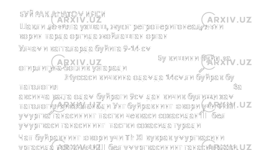 БУЙРАК АНАТОМИЯСИ Шакли ловияга ухшаш, жуфт ретроперитонеал, яьни корин парда ортида жойлашган орган Улчами катталарда буйига 9-14 см Бу кишини буйи ва огирлигига боглик узгаради Жуссаси кичкина одамда 14смли буйрак бу патология Ва аксинча катта одам буйраги 9см дан кичик булиши хам патология хисобланади Унг буйракнинг юкори учи ThХII умуртка танасининг пастки чеккаси сохасидан III бел умурткаси танасининг пастки сохасида туради Чап буйракнинг юкори учи Th ХI кукрак умурткасини уртасида пастки учи III бел умурткасининг танаси уртаси сохасида туради 