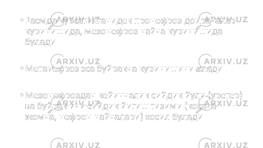 • Расмда курсатилганидек пронефроз доирачалар куринишида, мезонефроз найча куринишида булади • Метанефроз эса буйракча куринишини олади • Мезонефроздан кейинчалик сийдик йули (уретер) ва буйрак ичи сийдик йигиш тизими (косача- жомча, нефрон найчалари) хосил булади 