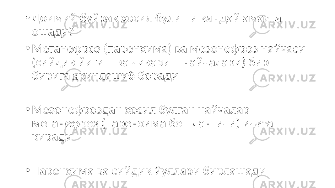 • Доимий буйрак хосил булиши кандай амалга ошади? • Метанефроз (паренхима) ва мезонефроз найчаси (сийдик йигиш ва чикариш найчалари) бир бирига якинлашиб боради • Мезонефроздан хосил булган найчалар метанефроз (паренхима бошлангичи) ичига киради • Паренхима ва сийдик йуллари бирлашади 