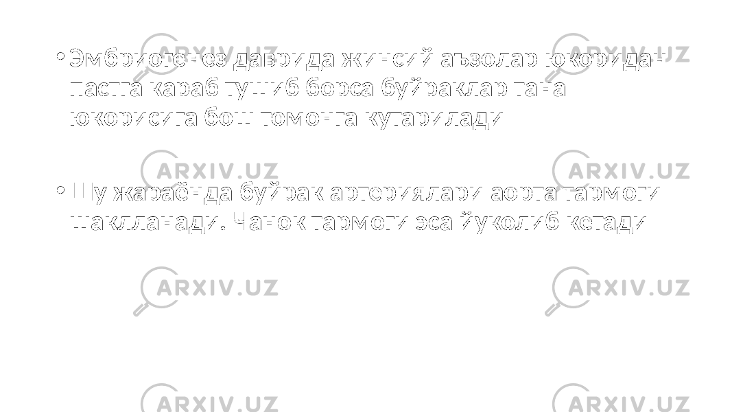 • Эмбриогенез даврида жинсий аъзолар юкоридан пастга караб тушиб борса буйраклар тана юкорисига бош томонга кутарилади • Шу жараёнда буйрак артериялари аорта тармоги шаклланади. Чанок тармоги эса йуколиб кетади 