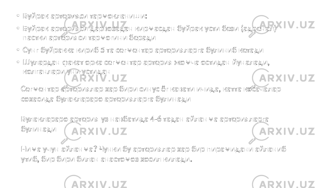 • Буйрак артерияси тармокланиши: • Буйрак артерияси дарвозадан кирмасдан буйрак усти бези (адренал) пастки артерияси тармогини беради • Сунг буйракка кириб 5 та сегментар артерияларга булиниб кетади • Шулардан факат орка сегментар артерия жомча остидан йуналади, колганлари уни устидан Сегментар артериялар хар бири синус ёг кавати ичида, катта косачалар сохасида булаклараро артерияларга булинади Булаклараро артерия уз навбатида 4-6 тадан айланма артерияларга булинади Нима учун айланма? Чунки бу артериялар хар бир пирамидани айланиб утиб, бир бири билан анастомоз хосил килади. 