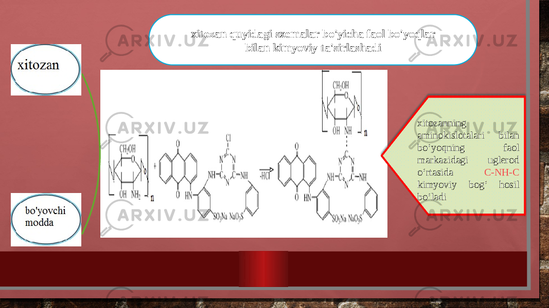 xitozan quyidagi sxemalar bo&#39;yicha faol bo&#39;yoqlar bilan kimyoviy ta&#39;sirlashadi xitozanning aminokislotalari bilan boʻyoqning faol markazidagi uglerod oʻrtasida C-NH-C kimyoviy bogʻ hosil boʻladi 