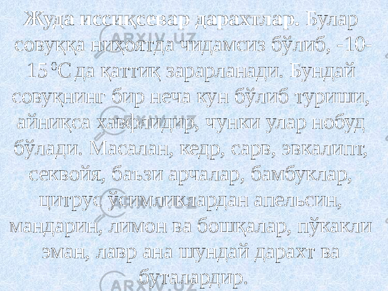 Жуда иссиқсевар дарахтлар. Булар совуққа ниҳоятда чидамсиз бўлиб, -10- 15 0 С да қаттиқ зарарланади. Бундай совуқнинг бир неча кун бўлиб туриши, айниқса хавфлидир, чунки улар нобуд бўлади. Масалан, кедр, сарв, эвкалипт, секвойя, баъзи арчалар, бамбуклар, цитрус ўсимликлардан апельсин, мандарин, лимон ва бошқалар, пўкакли эман, лавр ана шундай дарахт ва буталардир. 