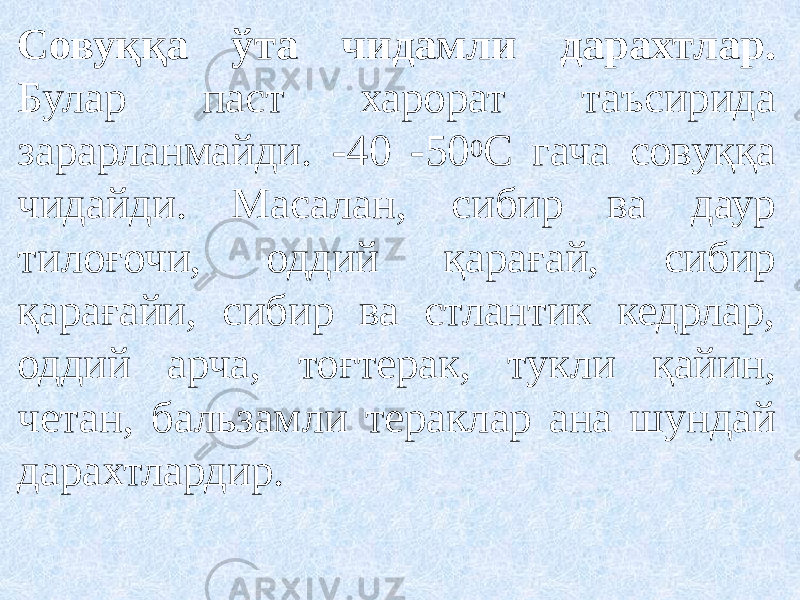 Совуққа ўта чидамли дарахтлар. Булар паст харорат таъсирида зарарланмайди. -40 -50 0 С гача совуққа чидайди. Масалан, сибир ва даур тилоғочи, оддий қарағай, сибир қарағайи, сибир ва стлантик кедрлар, оддий арча, тоғтерак, тукли қайин, четан, бальзамли тераклар ана шундай дарахтлардир. 