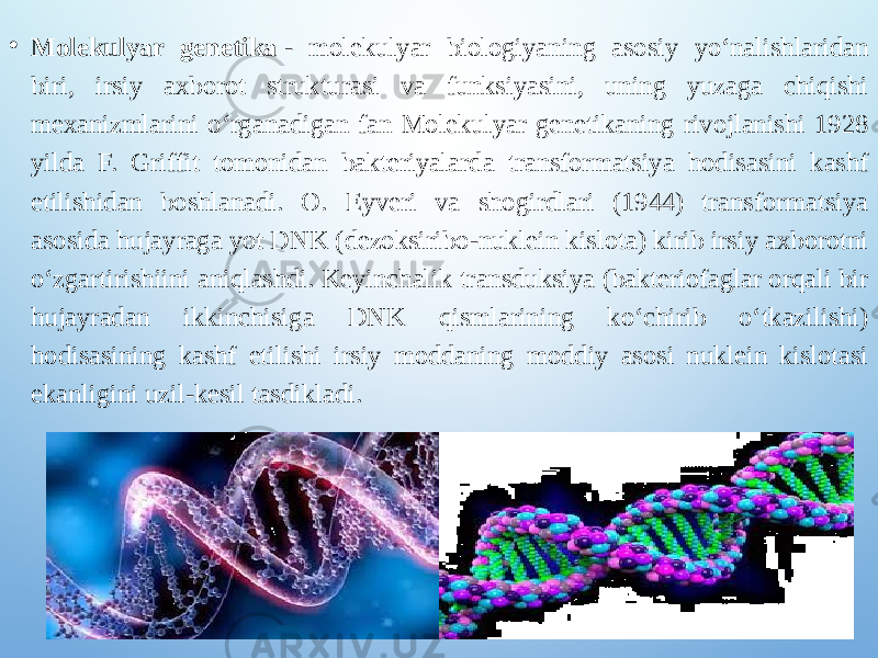 • Molekulyar genetika  - molekulyar biologiyaning asosiy yoʻnalishlaridan biri, irsiy axborot strukturasi va funksiyasini, uning yuzaga chiqishi mexanizmlarini oʻrganadigan fan Molekulyar genetikaning rivojlanishi 1928 yilda F. Griffit tomonidan bakteriyalarda transformatsiya hodisasini kashf etilishidan boshlanadi. O. Eyveri va shogirdlari (1944) transformatsiya asosida hujayraga yot DNK (dezoksiribo-nuklein kislota) kirib irsiy axborotni oʻzgartirishiini aniqlashdi. Keyinchalik transduksiya (bakteriofaglar orqali bir hujayradan ikkinchisiga DNK qismlarining koʻchirib oʻtkazilishi) hodisasining kashf etilishi irsiy moddaning moddiy asosi nuklein kislotasi ekanligini uzil-kesil tasdikladi. 