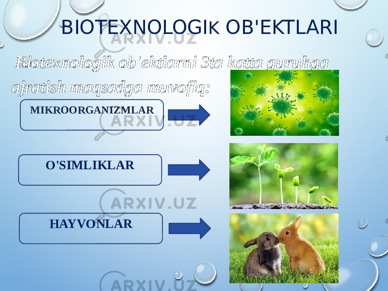  BIOTEXNOLOGI K OB&#39;EKTLARI Biotexnologik ob&#39;ektlarni 3ta katta guruhga ajratish maqsadga muvofiq: MIKROORGANIZMLAR O&#39;SIMLIKLAR HAYVONLAR 