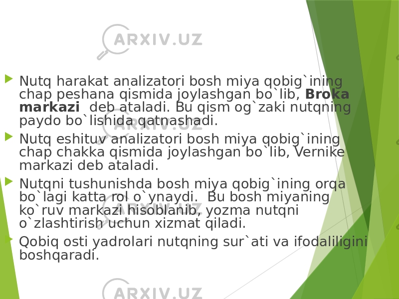  Nutq harakat analizatori bosh miya qobig`ining chap peshana qismida joylashgan bo`lib, Broka markazi deb ataladi. Bu qism og`zaki nutqning paydo bo`lishida qatnashadi.  Nutq eshituv analizatori bosh miya qobig`ining chap chakka qismida joylashgan bo`lib, Vernike markazi deb ataladi.  Nutqni tushunishda bosh miya qobig`ining orqa bo`lagi katta rol o`ynaydi. Bu bosh miyaning ko`ruv markazi hisoblanib, yozma nutqni o`zlashtirish uchun xizmat qiladi.  Qobiq osti yadrolari nutqning sur`ati va ifodaliligini boshqaradi. 