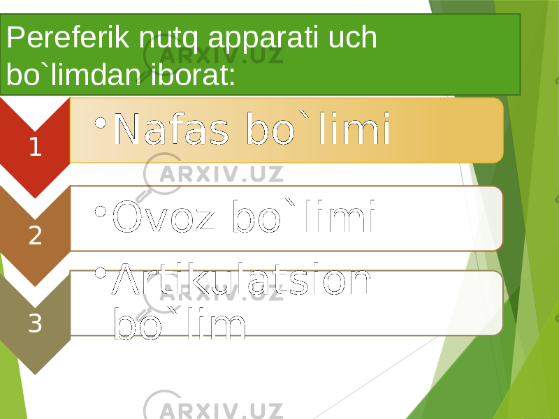 Pereferik nutq apparati uch bo`limdan iborat: 1 • Nafas bo`limi 2 • Ovoz bo`limi 3 • Artikulatsion bo`lim 