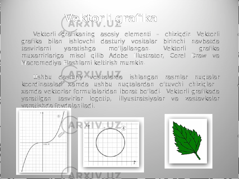 Vektorli grafikaning asosiy elementi – chiziqdir. Vektorli grafika bilan ishlovchi dasturiy vositalar birinchi navbatda tasvirlarni yaratishga mo’ljallangan. Vektorli grafika muxarrirlariga misol qilib Adobe Illustrator, Corel Draw va Macromediya Flashlarni keltirish mumkin. Ushbu dasturiy vositalarda ishlangan rasmlar nuqtalar koordinatalari xamda ushbu nuqtalardan o’tuvchi chiziqlar xamda vektorlar formulalaridan iborat bo’ladi. Vektorli grafikada yaratilgan tasvirlar logotip, illyustratsiyalar va zastavkalar yaratishda foydalaniladi . Vektorli grafika 