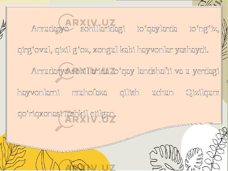 Amudaryo sohillaridagi to‘qaylarda to‘ng‘iz, qirg‘ovul, qizil g‘oz, xongul kabi hayvonlar yashaydi. Amudaryo sohillarida to‘qay landshafti va u yerdagi hayvonlarni muhofaza qilish uchun Qizilqum qo‘riqxonasi tashkil etilgan. 