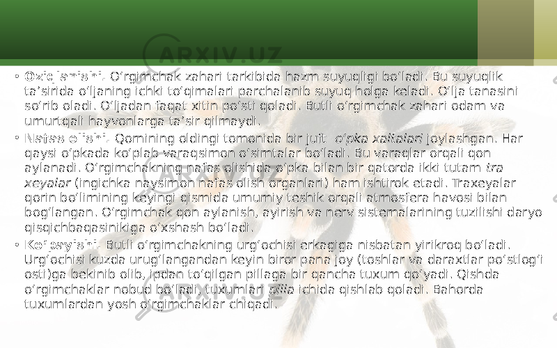 • Oziqlanishi. O‘rgimchak zahari tarkibida hazm suyuqligi bo‘ladi. Bu suyuqlik ta’sirida o‘ljaning ichki to‘qimalari parchalanib suyuq holga keladi. O‘lja tanasini so‘rib oladi. O‘ljadan faqat xitin po‘sti qoladi. Butli o‘rgimchak zahari odam va umurtqali hayvonlarga ta’sir qilmaydi. • Nafas olishi. Qornining oldingi tomonida bir juft o‘pka xaltalari joylashgan. Har qaysi o‘pkada ko‘plab varaqsimon o‘simtalar bo‘ladi. Bu varaqlar orqali qon aylanadi. O‘rgimchakning nafas olishida o‘pka bilan bir qatorda ikki tutam tra xeyalar (ingichka naysimon nafas olish organlari) ham ishtirok etadi. Traxeyalar qorin bo‘limining keyingi qismida umumiy teshik orqali atmosfera havosi bilan bog‘langan. O‘rgimchak qon aylanish, ayirish va nerv sistemalarining tuzilishi daryo qisqichbaqasinikiga o‘xshash bo‘ladi. • Ko‘payishi. Butli o‘rgimchakning urg‘ochisi erkagiga nisbatan yirikroq bo‘ladi. Urg‘ochisi kuzda urug‘langandan keyin biror pana joy (toshlar va daraxtlar po‘stlog‘i osti)ga bekinib olib, ipdan to‘qilgan pillaga bir qancha tuxum qo‘yadi. Qishda o‘rgimchaklar nobud bo‘ladi, tuxumlari pilla ichida qishlab qoladi. Bahorda tuxumlardan yosh o‘rgimchaklar chiqadi. 