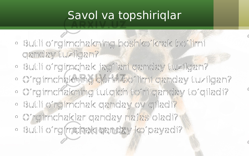 Savol va topshiriqlar • Butli o‘rgimchakning boshko‘krak bo‘limi qanday tuzilgan? • Butli o‘rgimchak jag‘lari qanday tuzilgan? • O‘rgimchakning qorin bo‘limi qanday tuzilgan? • O‘rgimchakning tutqich to‘ri qanday to‘qiladi? • Butli o‘rgimchak qanday ov qiladi? • O‘rgimchaklar qanday nafas oladi? • Butli o‘rgimchak qanday ko‘payadi? 