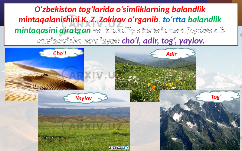 O‘zbekiston tog‘larida o‘simliklarning balandlik mintaqalanishini K. Z. Zokirov o‘rganib , to‘rtta balandlik mintaqasini ajratgan va mahalliy atamalardan foydalanib quyidagicha nomlaydi: cho‘l, adir, tog‘, yaylov. Cho‘l Adir Yaylov Tog‘ 