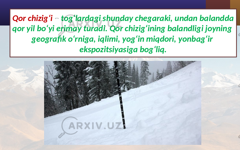 Qor chizig‘i – tog‘lardagi shunday chegaraki, undan balandda qor yil bo‘yi erimay turadi. Qor chizig‘ining balandligi joyning geografik o‘rniga, iqlimi, yog‘in miqdori, yonbag‘ir ekspozitsiyasiga bog‘liq. 