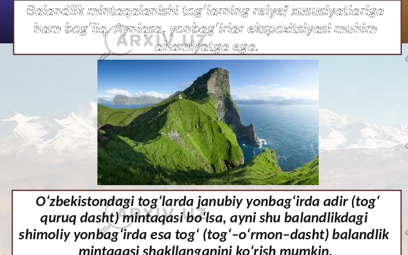 Balandlik mintaqalanishi tog‘larning relyef xususiyatlariga ham bog‘liq. Ayniqsa, yonbag‘irlar ekspozitsiyasi muhim ahamiyatga ega. O‘zbekistondagi tog‘larda janubiy yonbag‘irda adir (tog‘ quruq dasht) mintaqasi bo‘lsa, ayni shu balandlikdagi shimoliy yonbag‘irda esa tog‘ (tog‘–o‘rmon–dasht) balandlik mintaqasi shakllanganini ko‘rish mumkin. 