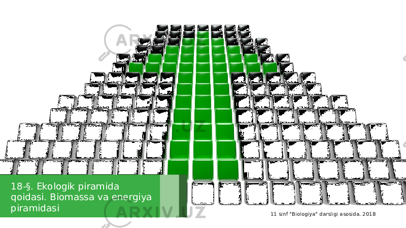 18-§. Ekologik piramida qoidasi. Biomassa va energiya piramidasi 11 sinf &#34;Biologiya&#34; darsligi asosida. 2018 