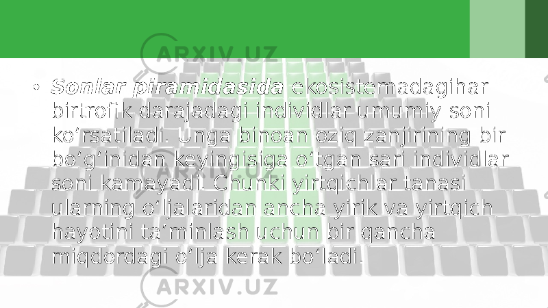 • Sonlar piramidasida ekosistemadagihar birtrofik darajadagi individlar umumiy soni ko‘rsatiladi. Unga binoan oziq zanjirining bir bo‘g‘inidan keyingisiga o‘tgan sari individlar soni kamayadi. Chunki yirtqichlar tanasi ularning o‘ljalaridan ancha yirik va yirtqich hayotini ta’minlash uchun bir qancha miqdordagi o‘lja kerak bo‘ladi. 