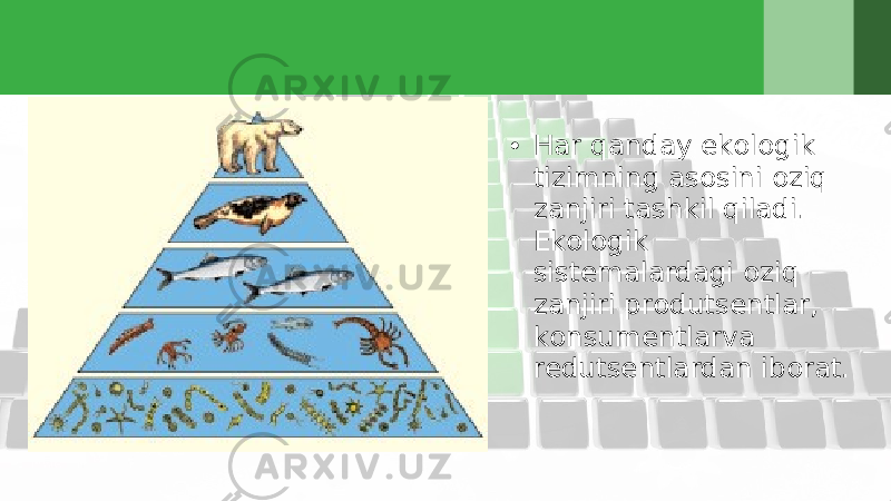 • Hаr qаndаy ekоlоgik tizimning аsоsini оziq zаnjiri tаshkil qilаdi. Ekоlоgik sistеmаlаrdаgi оziq zаnjiri prоdutsеntlаr, kоnsumеntlаrvа rеdutsеntlаrdаn ibоrаt. 