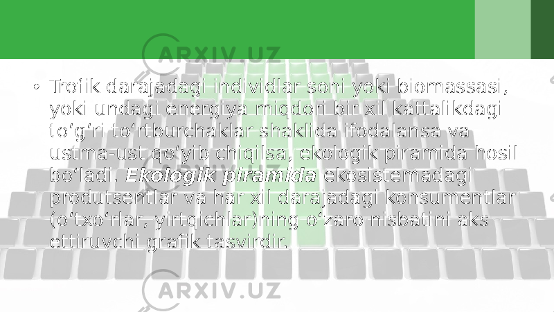 • Trofik darajadagi individlar soni yoki biomassasi, yoki undagi energiya miqdori bir xil kattalikdagi to‘g‘ri to‘rtburchaklar shaklida ifodalansa va ustma-ust qo‘yib chiqilsa, ekologik piramida hosil bo‘ladi. Ekologik piramida ekosistemadagi produtsentlar va har xil darajadagi konsumentlar (o‘txo‘rlar, yirtqichlar)ning o‘zaro nisbatini aks ettiruvchi grafik tasvirdir. 