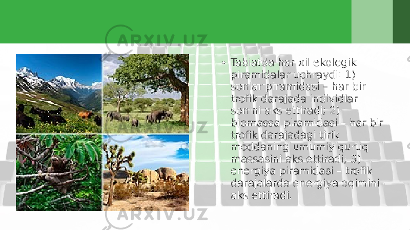 • Tabiatda har xil ekologik piramidalar uchraydi: 1) sonlar piramidasi – har bir trofik darajada individlar sonini aks ettiradi; 2) biomassa piramidasi – har bir trofik darajadagi tirik moddaning umumiy quruq massasini aks ettiradi; 3) energiya piramidasi – trofik darajalarda energiya oqimini aks ettiradi. 