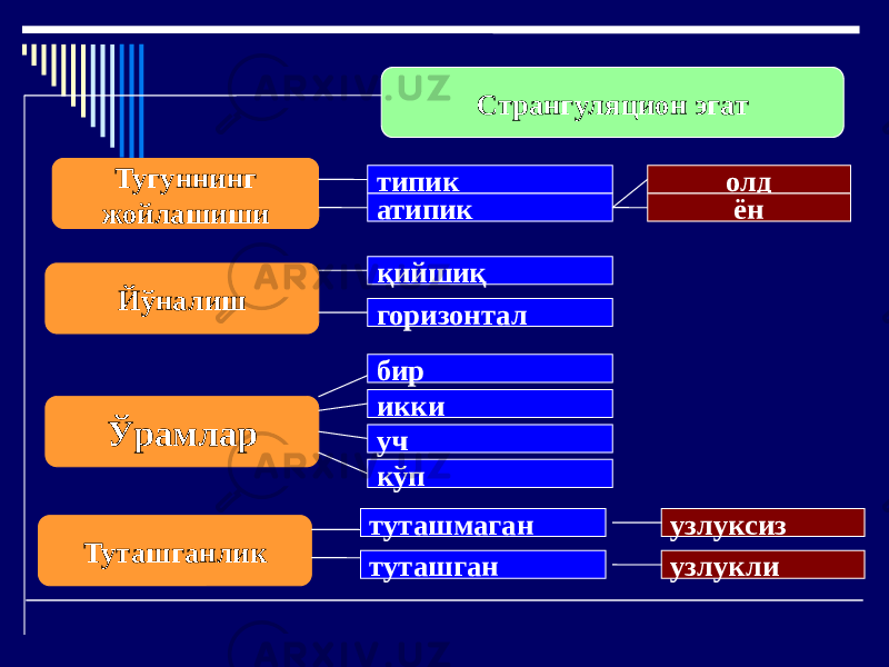 Странгуляцион эгат Тугуннинг жойлашиши Йўналиш Ўрамлар Туташганлик типик атипик олд ён қийшиқ горизонтал бир икки уч кўп туташгантуташмаган узлуксиз узлукли 