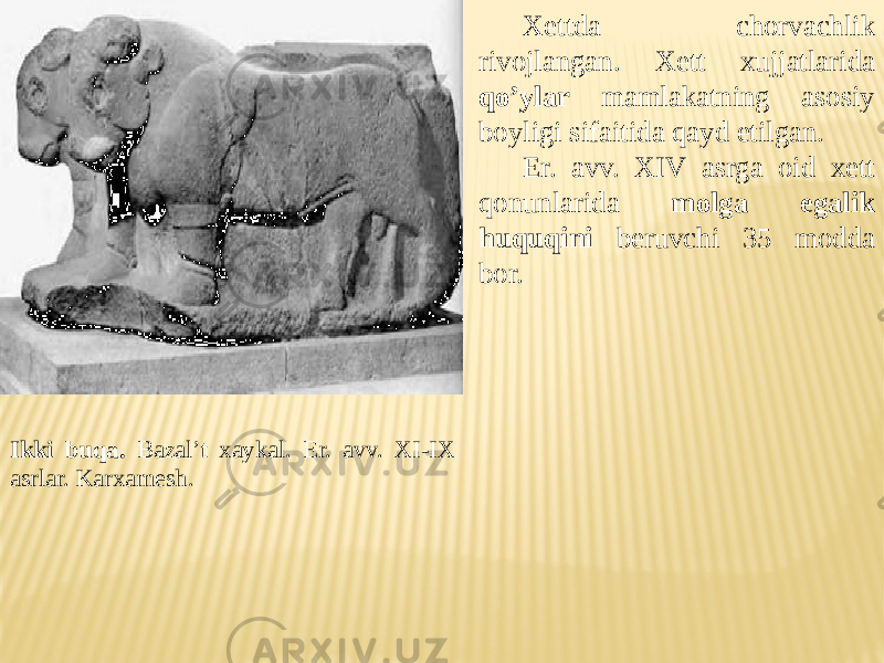 Ikki buqa. Bazal’t xaykal. Er. avv. XI-IX asrlar. Karxamesh. Xettda chorvachlik rivojlangan. Xett xujjatlarida qo’ylar mamlakatning asosiy boyligi sifaitida qayd etilgan. Er. avv. XIV asrga oid xett qonunlarida molga egalik huquqini beruvchi 35 modda bor. 