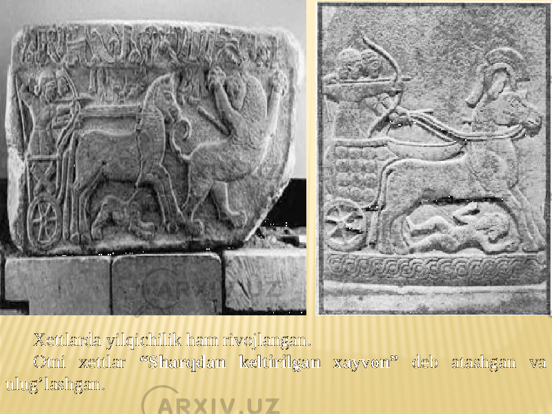 Xettlarda yilqichilik ham rivojlangan. Otni xettlar “Sharqdan keltirilgan xayvon” deb atashgan va ulug’lashgan. 