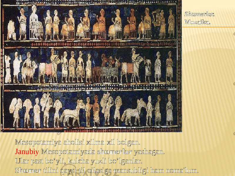 Mesopotamiya aholisi xilma-xil bolgan. Janubiy Mesopotamiyada shumerlar yashagan. Ular past bo’yli, kulcha yuzli bo’lganlar. Shumer tilini qaysi til oilasiga mansubligi ham noma&#39;lum. Shumerlar. Mozaika. 