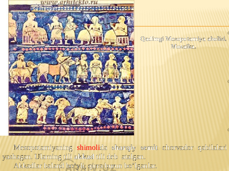 Mesopotamiyaning shimoli da sharqiy semit chorvador qabilalari yashagan. Ularning tili akkad tili deb atalgan. Akkadlar baland bo’yli, qirra burun bo’lganlar. Qadimgi Mesopotamiya aholisi. Mozaika. 