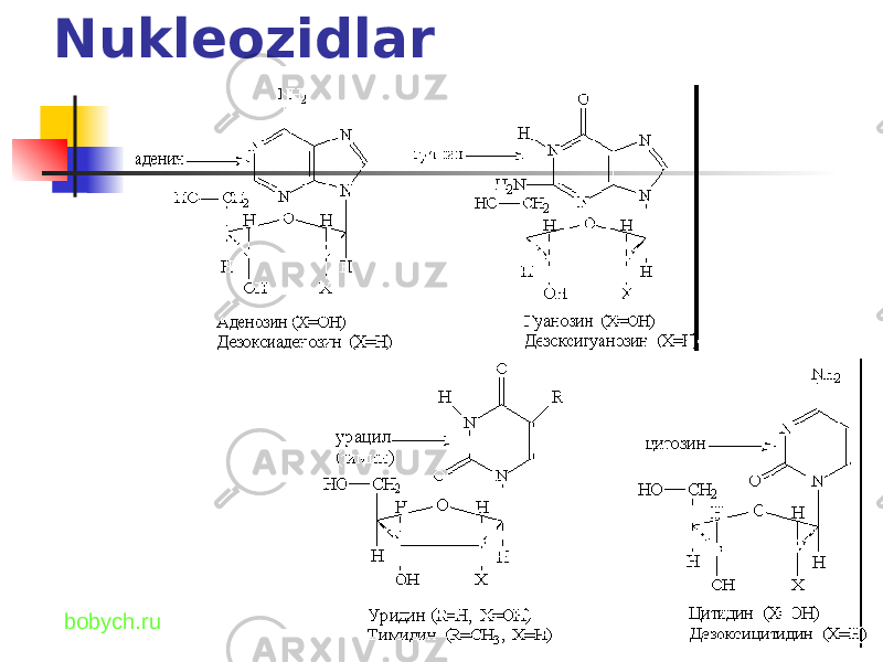 Nukleozidlar bobych.ru 