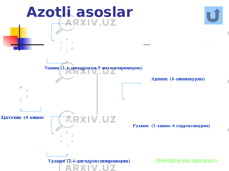 Azotli asoslar chemistry.ssu.samara.ru 
