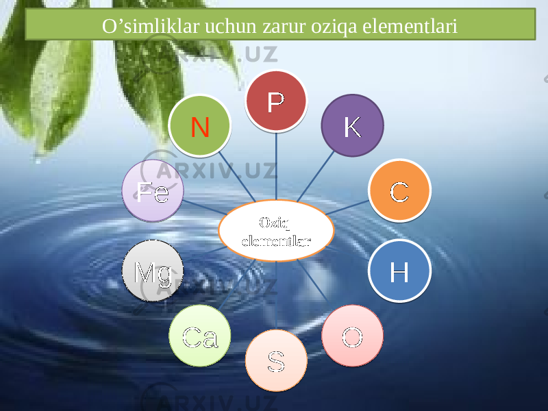 Oziq elementlar P K C H О SCaMg Fe NO’simliklar uchun zarur oziqa elementlari2B 2D 25 2E 2F 2D 2216 30 31 