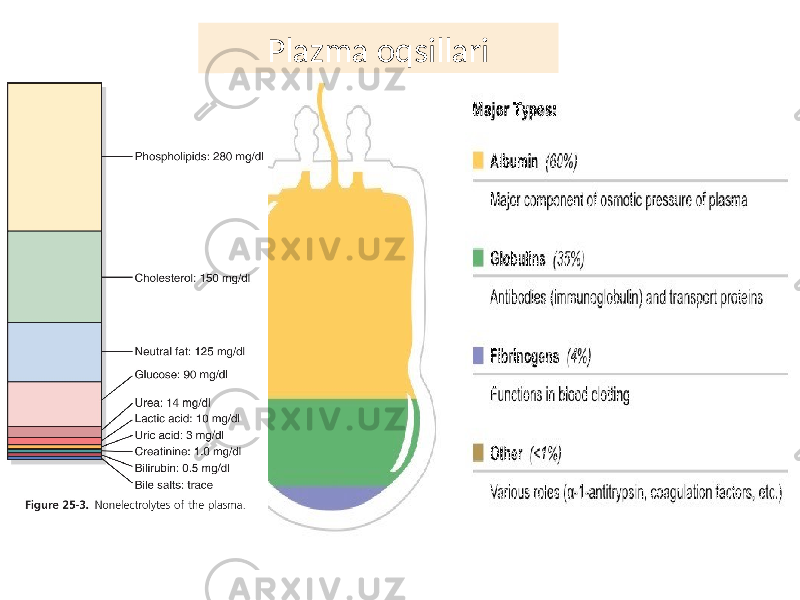 Plazma oqsillari 