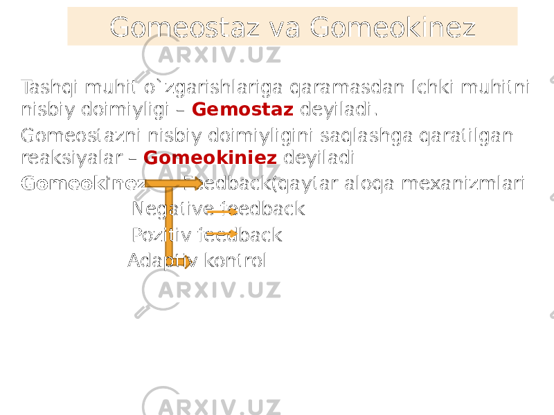 Gomeostaz va Gomeokinez Tashqi muhit o`zgarishlariga qaramasdan Ichki muhitni nisbiy doimiyligi – Gemostaz deyiladi. Gomeostazni nisbiy doimiyligini saqlashga qaratilgan reaksiyalar – Gomeokiniez deyiladi Gomeokinez Feedback(qaytar aloqa mexanizmlari Negative feedback Pozitiv feedback Adaptiv kontrol 