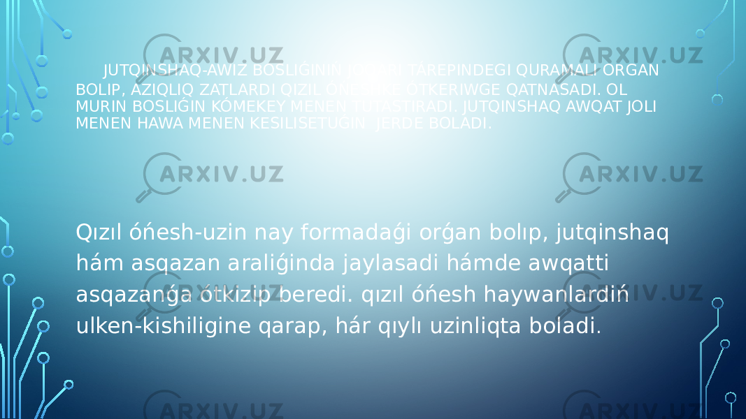  JUTQINSHAQ-AWIZ BOSLIǴINIŃ JOQARI TÁREPINDEGI QURAMALI ORGAN BOLIP, AZIQLIQ ZATLARDI QIZIL ÓŃESHKE ÓTKERIWGE QATNASADI. OL MURIN BOSLIǴIN KÓMEKEY MENEN TUTASTIRADI. JUTQINSHAQ AWQAT JOLI MENEN HAWA MENEN KESILISETUǴIN JERDE BOLADI. Qızıl óńesh-uzin nay formadaǵi orǵan bolıp, jutqinshaq hám asqazan araliǵinda jaylasadi hámde awqatti asqazanǵa ótkizip beredi. qızıl óńesh haywanlardiń ulken-kishiligine qarap, hár qıylı uzinliqta boladi . 