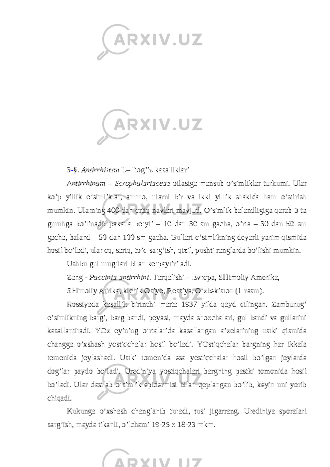  3 - §. Antirrhinum L– Itog’iz kasalliklari Antirrhinum – Scrophulariaceae oilasiga mansub o’simliklar turkumi. Ular ko’p yillik o’simliklar, ammo, ularni bir va ikki yillik shaklda ham o’stirish mumkin. Ularning 400 dan ortiq navlari mavjud. O’simlik balandligiga qarab 3 ta guruhga bo’linadi: pakana bo’yli – 10 dan 30 sm gacha, o’rta – 30 dan 50 sm gacha, baland – 50 dan 100 sm gacha. Gullari o’simlikning deyarli yarim qismida hosil bo’ladi, ular oq, sariq, to’q sarg’ish, qizil, pushti ranglarda bo’lishi mumkin. Ushbu gul urug’lari bilan ko’paytiriladi. Zang - Puccinia antirrhini . Tarqalishi – Evropa, SHimoliy Amerika, SHimoliy Afrika, kichik Osiyo, Rossiya, O’zbekiston (1-rasm). Rossiyada kasallik birinchi marta 1937 yilda qayd qilingan. Zamburug’ o’simlikning bargi, barg bandi, poyasi, mayda shoxchalari, gul bandi va gullarini kasallantiradi. YOz oyining o’rtalarida kasallangan a’zolarining ustki qismida changga o’xshash yostiqchalar hosil bo’ladi. YOstiqchalar bargning har ikkala tomonida joylashadi. Ustki tomonida esa yostiqchalar hosil bo’lgan joylarda dog’lar paydo bo’ladi. Urediniya yostiqchalari bargning pastki tomonida hosil bo’ladi. Ular dastlab o’simlik epidermisi bilan qoplangan bo’lib, keyin uni yorib chiqadi. Kukunga o’xshash changlanib turadi, tusi jigarrang. Urediniya sporalari sarg’ish, mayda tikanli, o’lchami 19-26 x 18-23 mkm. 